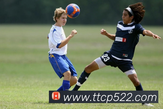 天天彩票官方网站平台生态图